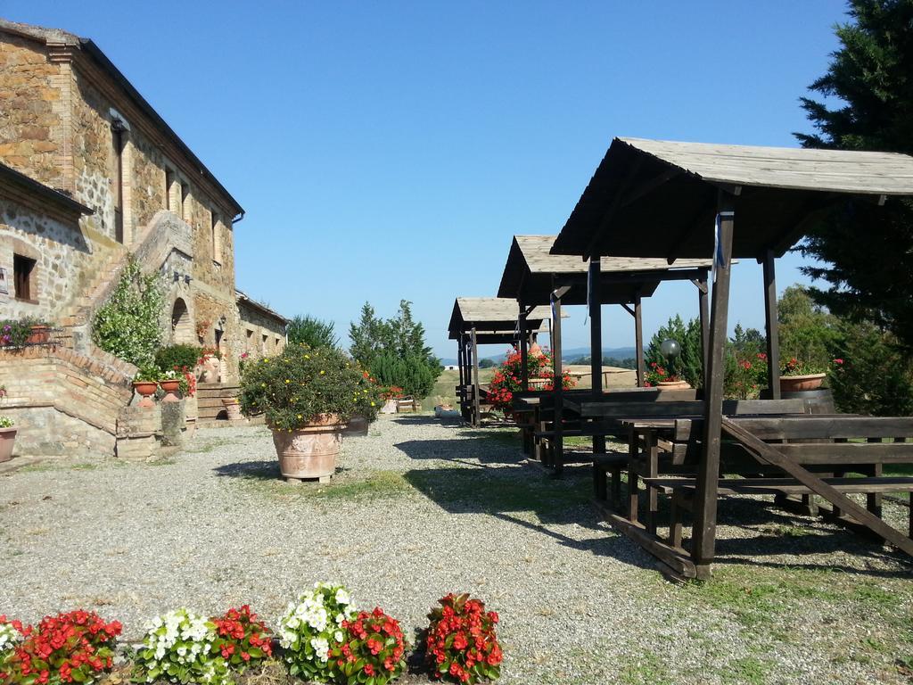 Wine Colsereno Alloggio per agriturismo Montalcino