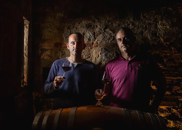 Wine Resort Colsereno