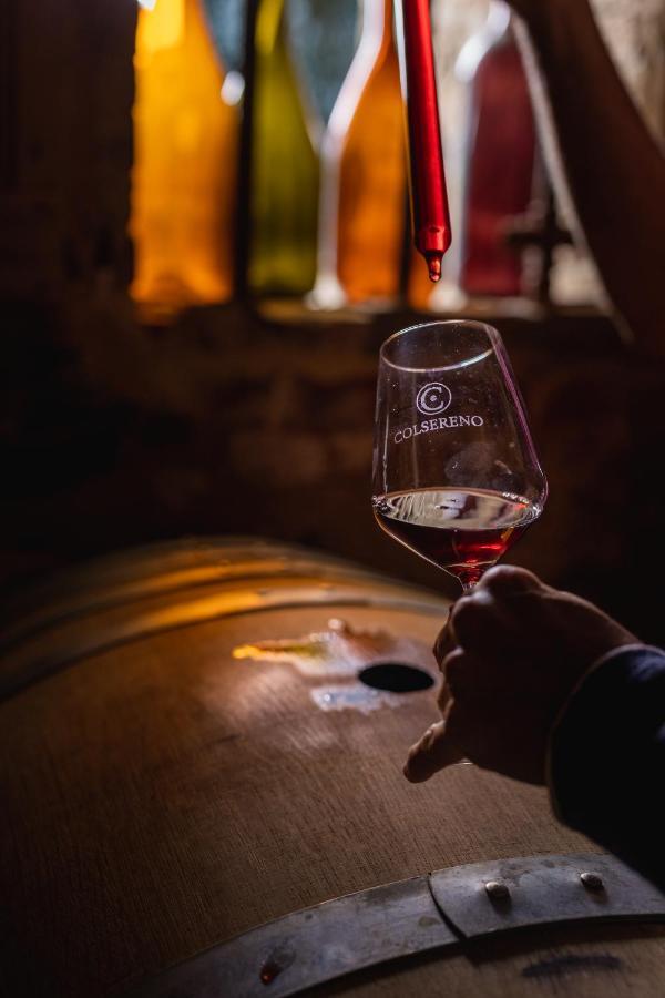 Wine Colsereno Alloggio per agriturismo Montalcino