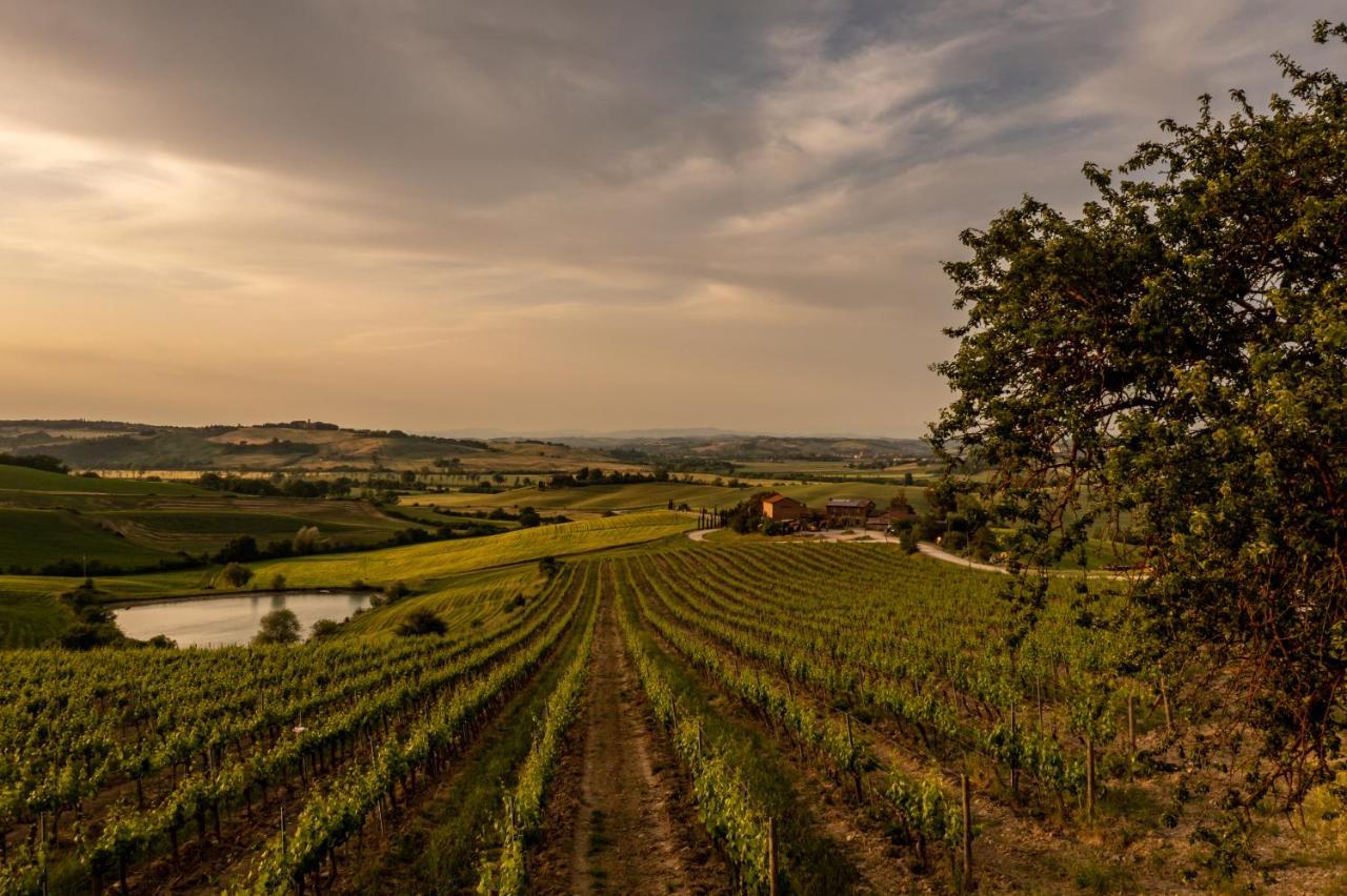 Bauernhof Wine Colsereno
