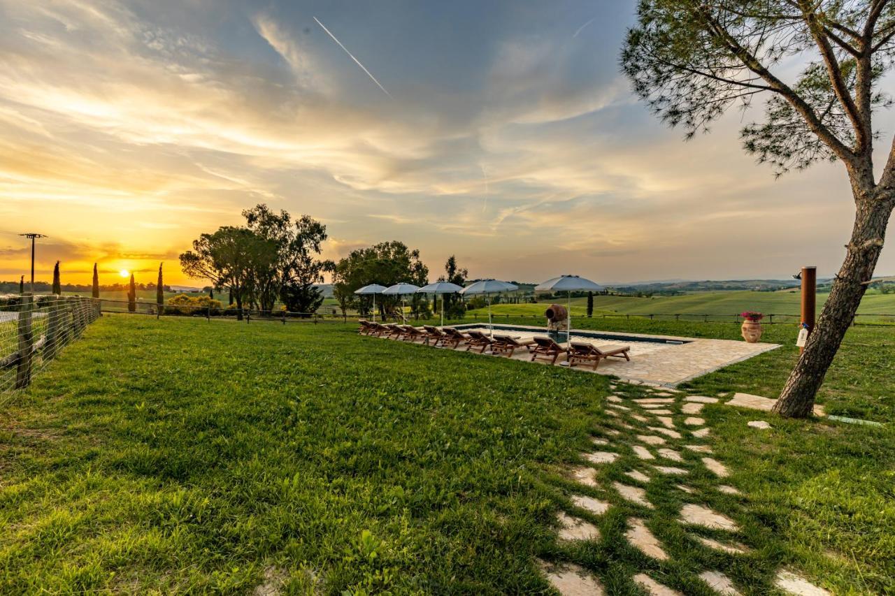 Wine Colsereno Montalcino