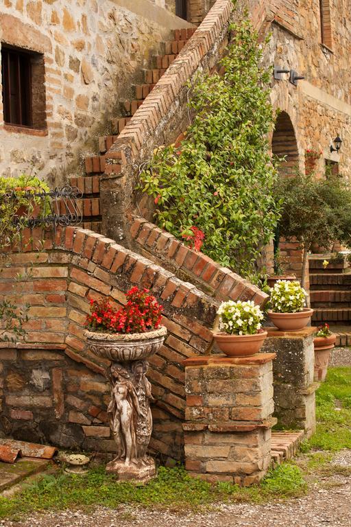 Wine Colsereno * Montalcino