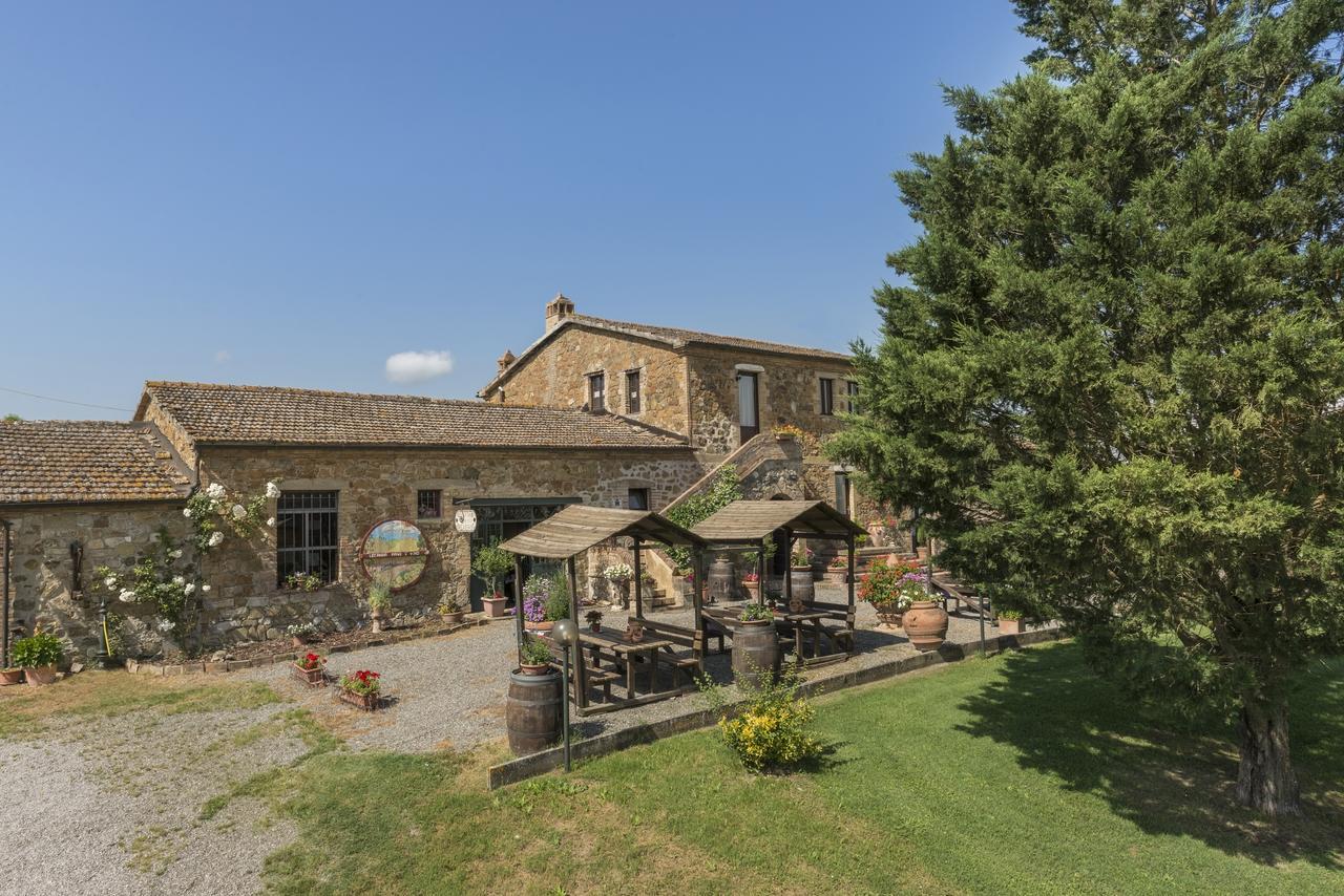 Wine Colsereno * Montalcino