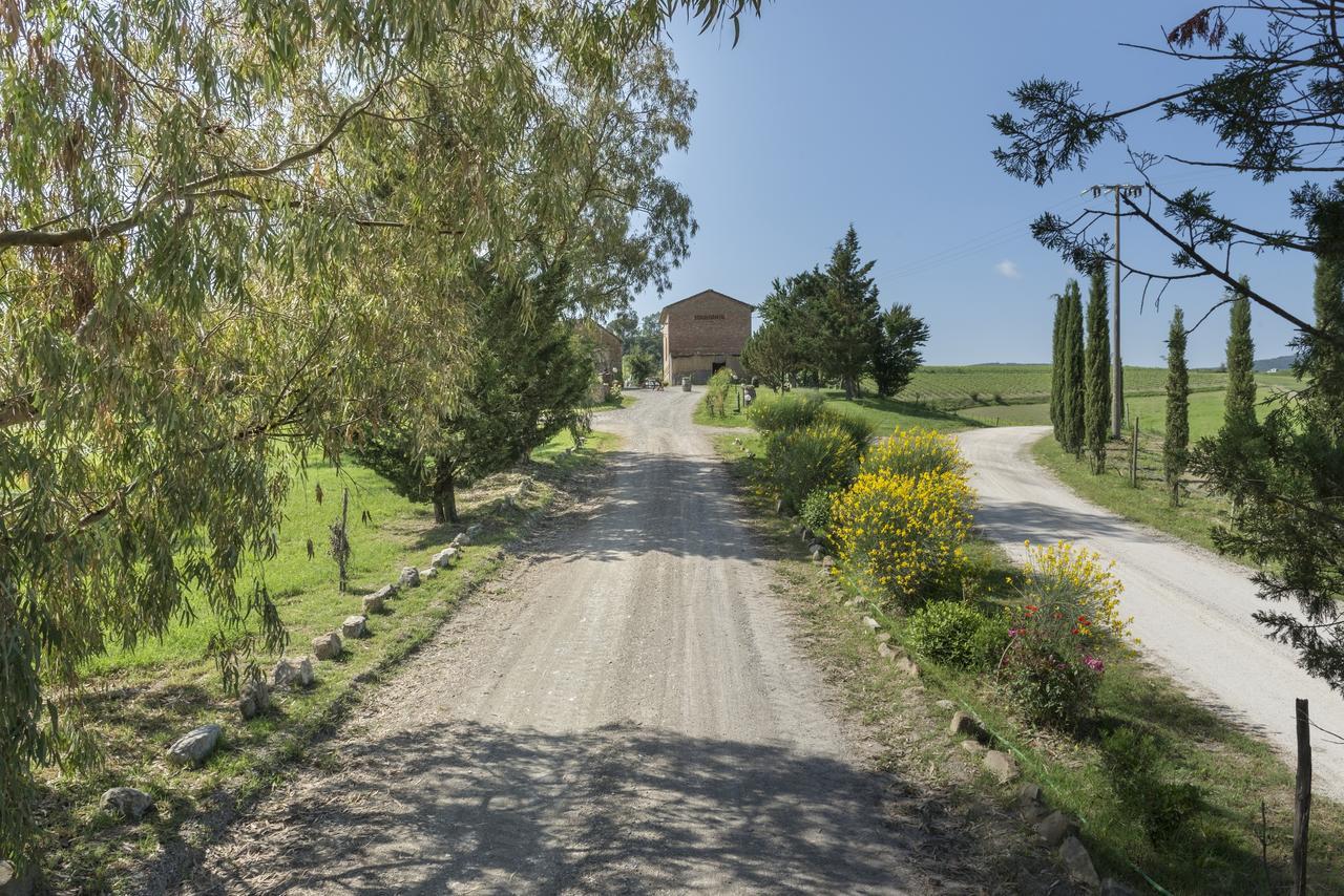 Wine Colsereno Bauernhof Montalcino