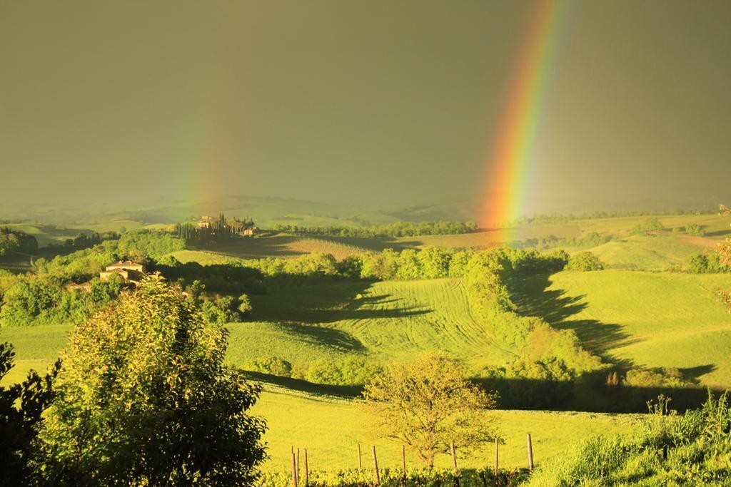 Wine Colsereno Alloggio per agriturismo Montalcino